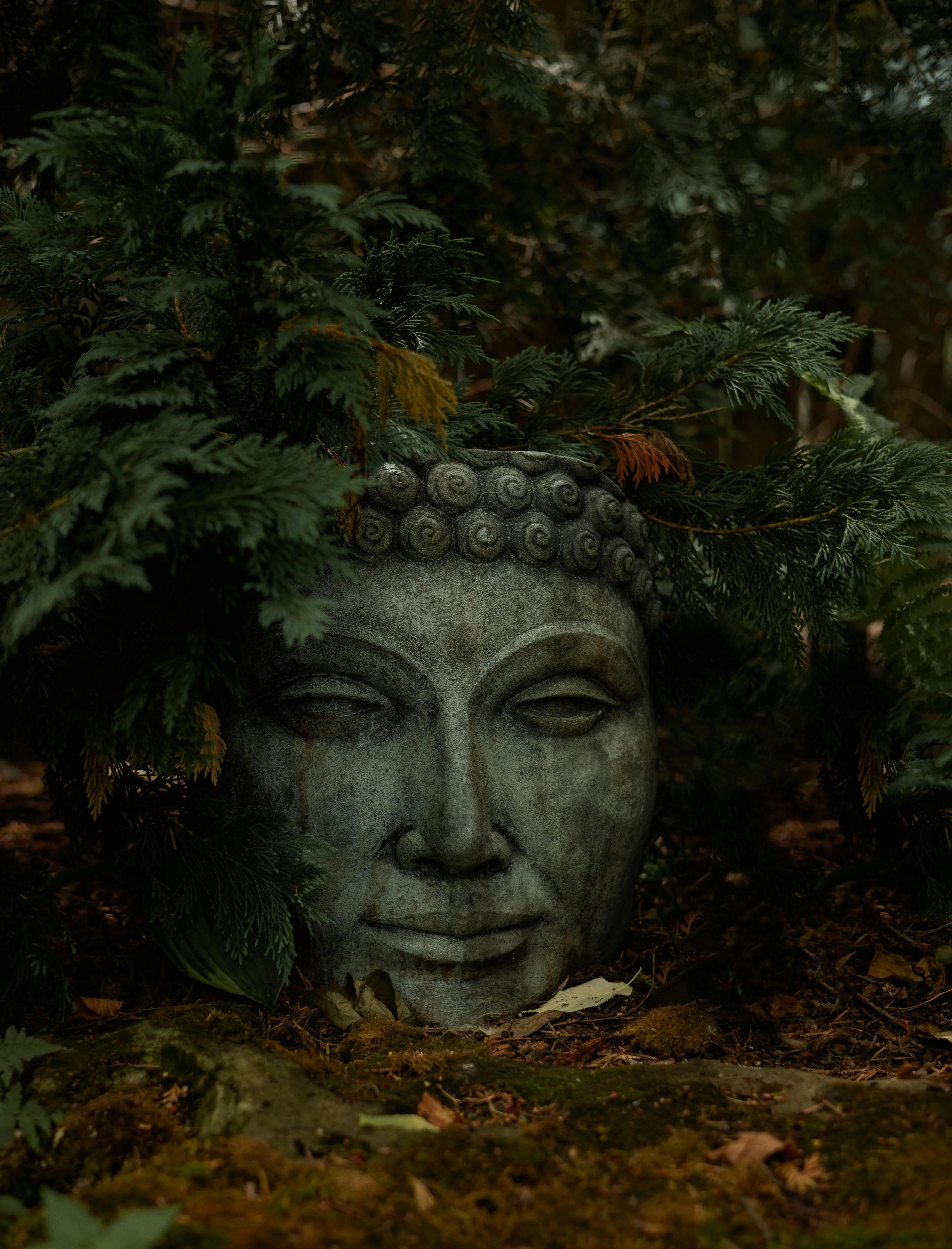 nghe-thuat-xam-hinh-kham-pha-xu-huong-va-y-tuong-doc-dao